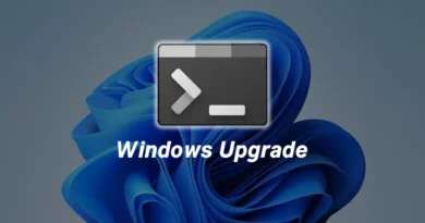 Actualizar toda las aplicaciones de Windows con WinGet 31 Actualizar toda las aplicaciones de Windows con Winget