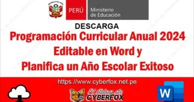 Programación Curricular Anual 2024