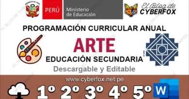 Programación Curricular Anual Arte y Cultura