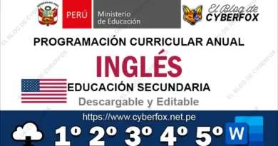 Programación Curricular Anual Inglés