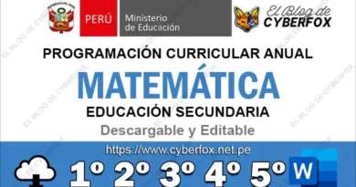 Programación Curricular Matemática