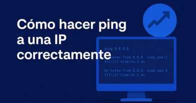 Ping dirección ip completa