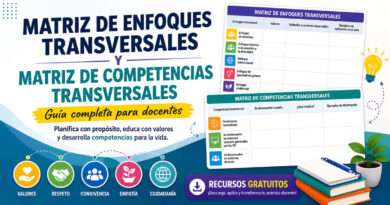 Matriz de Enfoques Transversales: Guía Esencial con 7 Enfoques y la Matriz de Competencias (2026) 16 Matriz de Enfoques Transversales del CNEB con los 7 enfoques y sus valores