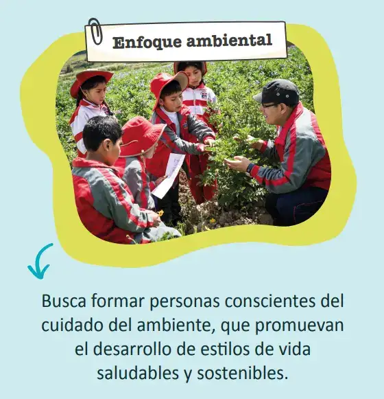 enfoque-ambiental